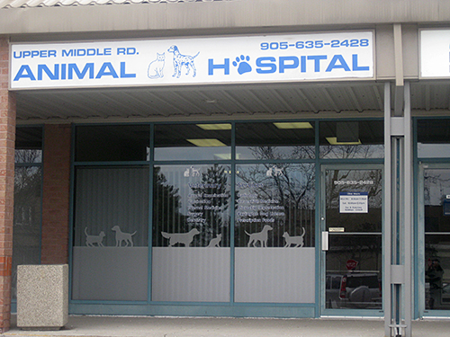 burlington veterinary